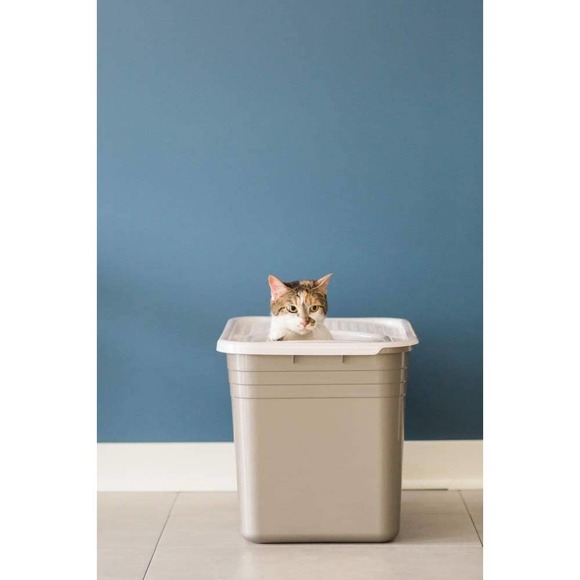 Petmate Cat Petmate Top Entry Litter Cat Litter Box With Filter Lid